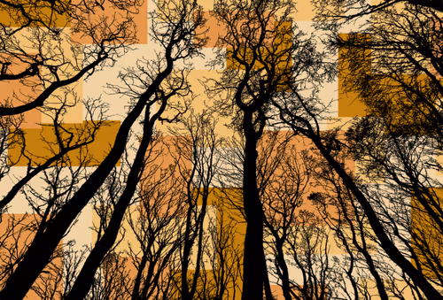 Item #98452652739139728385833177139880784176422420203299536309471942774512215392257 Media