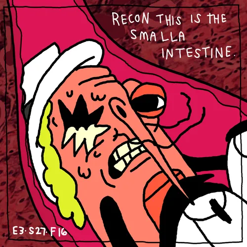 Item #78936125042449865307625382983363701710507903239277965022735112662432171950085 Media