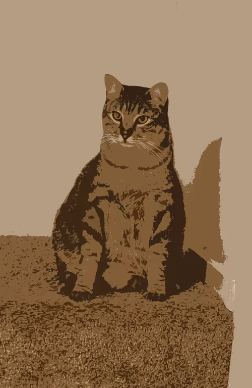 Item #40929850781596165504702604419527354446523916719531782081730221458686247698433 Media