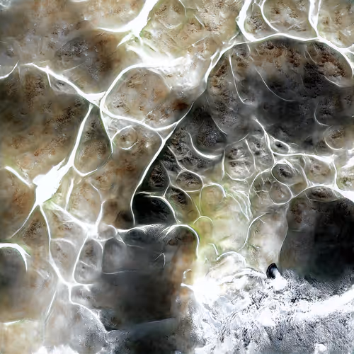 Item #81423580408588551200801073682850784470757564812203159627046902874803766558721 Media