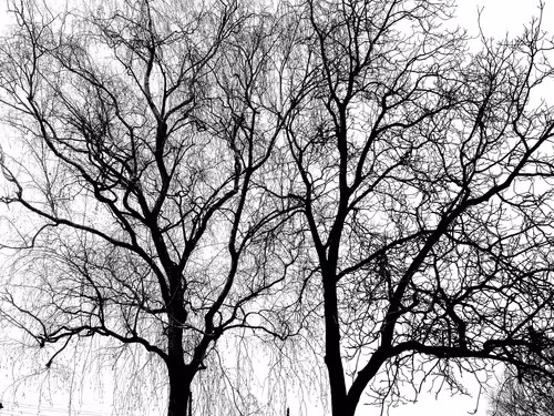 Item #13665938074563914331498291329920780757136253607588816979915017099091715817473 Media