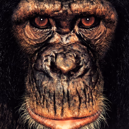 109162157552346088047496633038404394118504199992061596446112929715081338421249