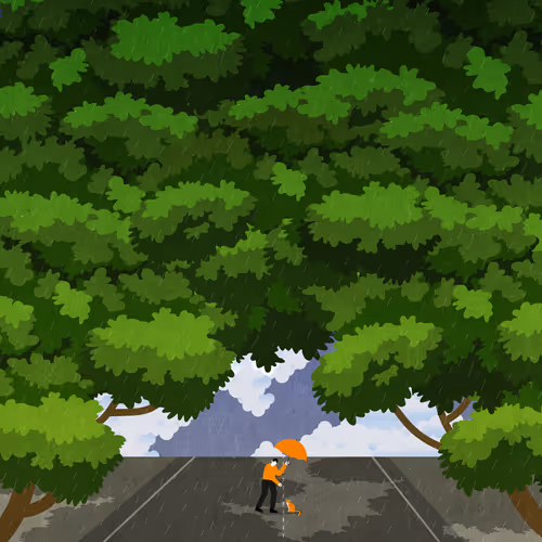 Item #3750174267940397111664061113814975051396825115395041664820255417190607486977 Media