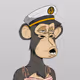 boring monkey V3