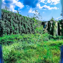 Somewhere in Ukraine#17