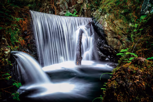 Item #75968517825798924164045795155541515562006117143554642232934363271709574823937 Media