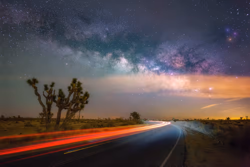 Item #71721706087014882762577854970996082786911179760617744331490506335582997708820 Media