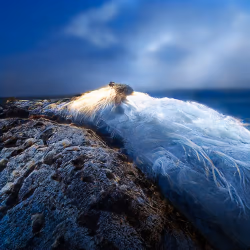 Item #14102882077376408625563496511892199093358336645069197561900844758425665536001 Media