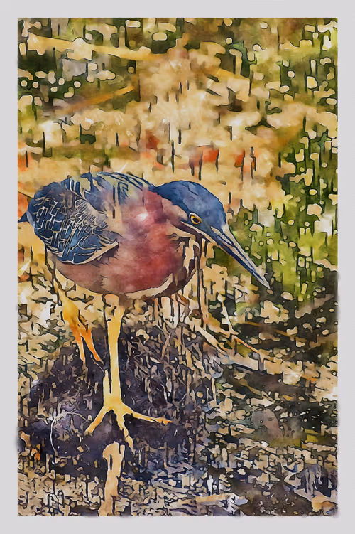 Item #55704534837685659622621715309832868758345944585427688586690141416863366643713 Media