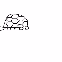 *tortoise*