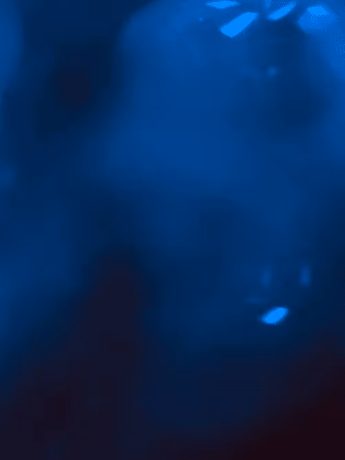 Item #34814088845477629227704468099299342434369579888194691644291829430028047745025 Media