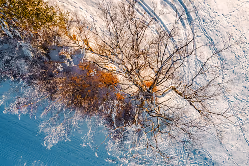 Item #65269379632311846935399782882204569097727852273357050594250130910125351763969 Media