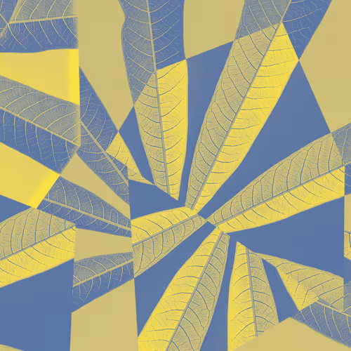 Untitled Collection #20587498