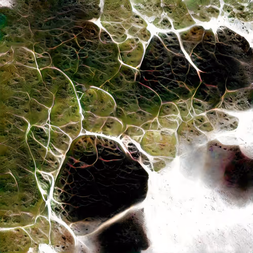 Item #81423580408588551200801073682850784470757564812203159627046902905590092136449 Media