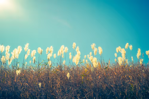 Item #87724672545568216492349628543176573267958151988335217142690977321316924784641 Media