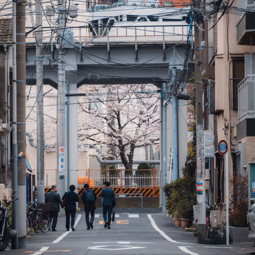 Item #84492978198119788081858584857369630260874381154171846651703266096196383408129 Media