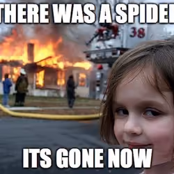 meme#808