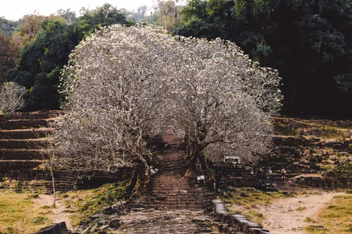 Item #19933179109955283826433224080904721000141254705246350990060094037323381997569 Media