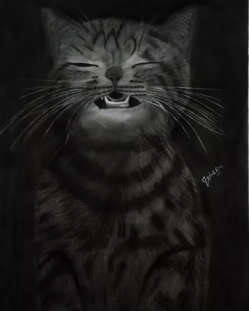 Item #55986617302409629486759846259040043364516686795130712673458847422275811016705 Media