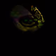 113095112917363970096461126086702697016479753958062483493494123431419340390401
