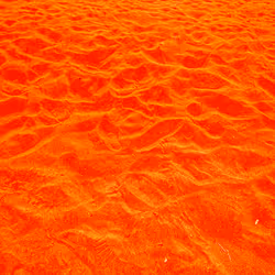 98843954857266856101330559780238873570552098425130206222908041837334891593729