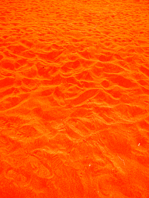 Item #98843954857266856101330559780238873570552098425130206222908041837334891593729 Media