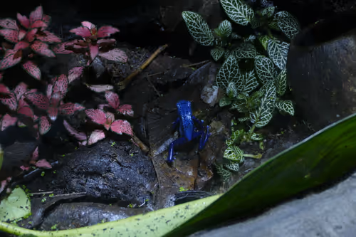 Item #52956220066904984822105294950617311198708422789705140296862517620279099785217 Media