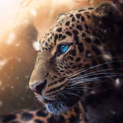 Rare beauty