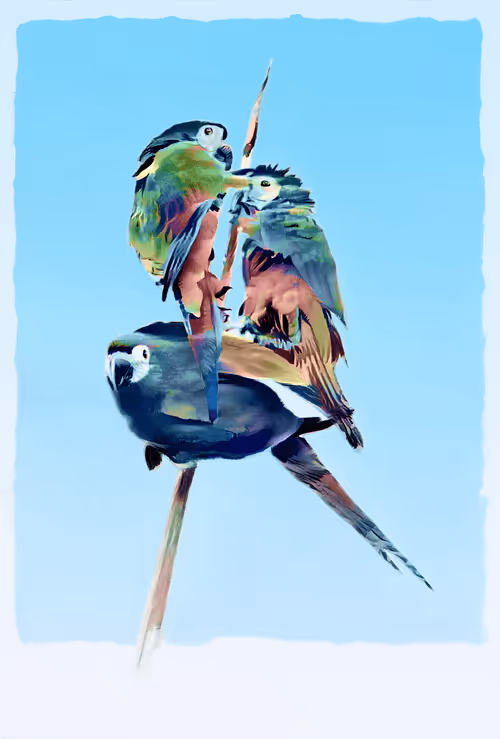 Item #12489479975597442904075550683828375763724097924832948667486829778825251913729 Media