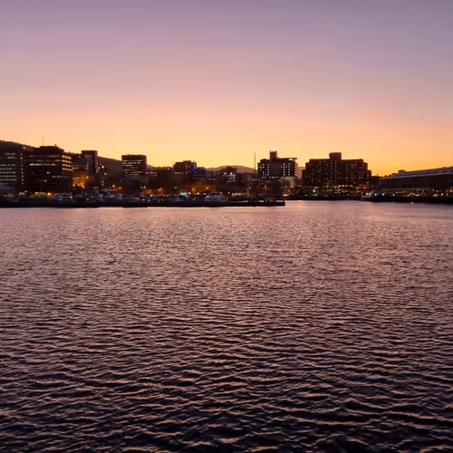 Beestrung Collection