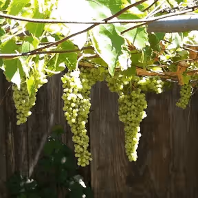 Item #103591676327422847087428891890687408126720995120947979586133499960038283804673 Media