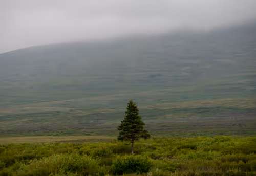 Item #38069088421557280780080489884356511775313840977413642295707171809441647427585 Media