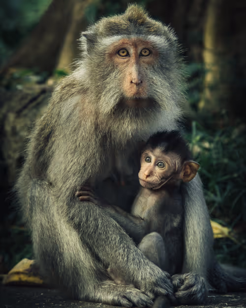 Item #14416656700475663864726672344569766568452912279528818547653479128532611235841 Media