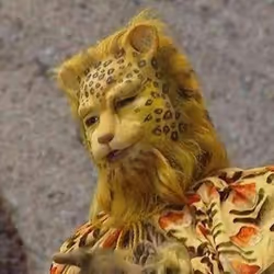 Leopard