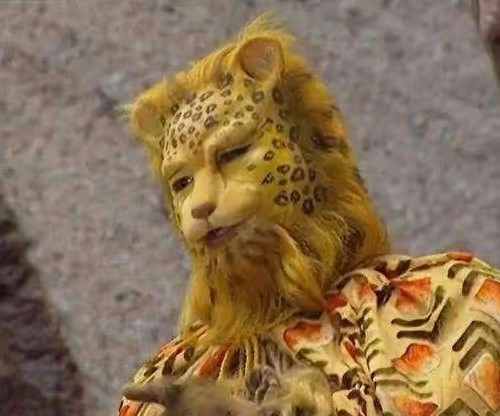 Leopard