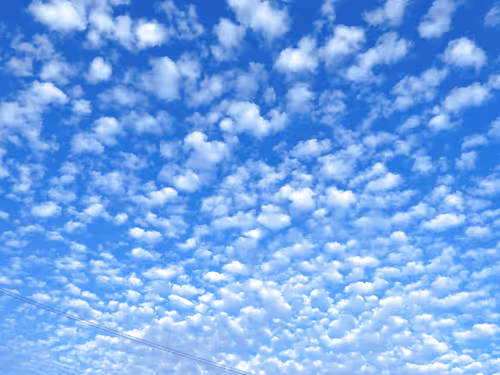 Item #2703142306123291722178089675917082041881281885356297145373661618401825521665 Media