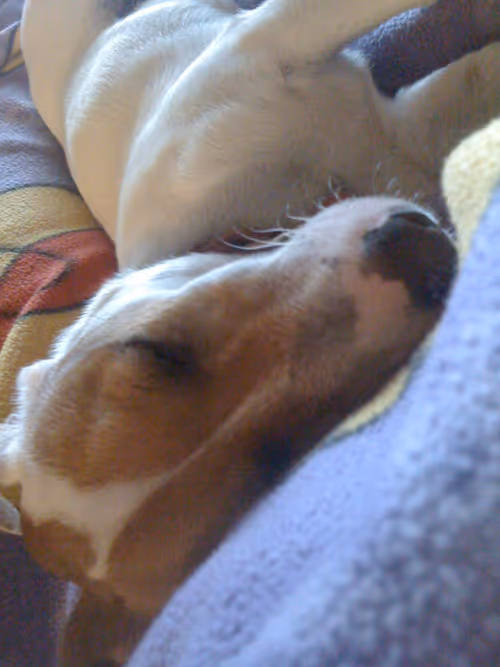 Item #5985210497355107417265215381210579199842884272282595265964883434200190943233 Media