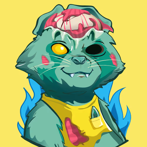 Raccoon-092