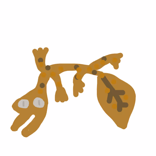 Bofanimals