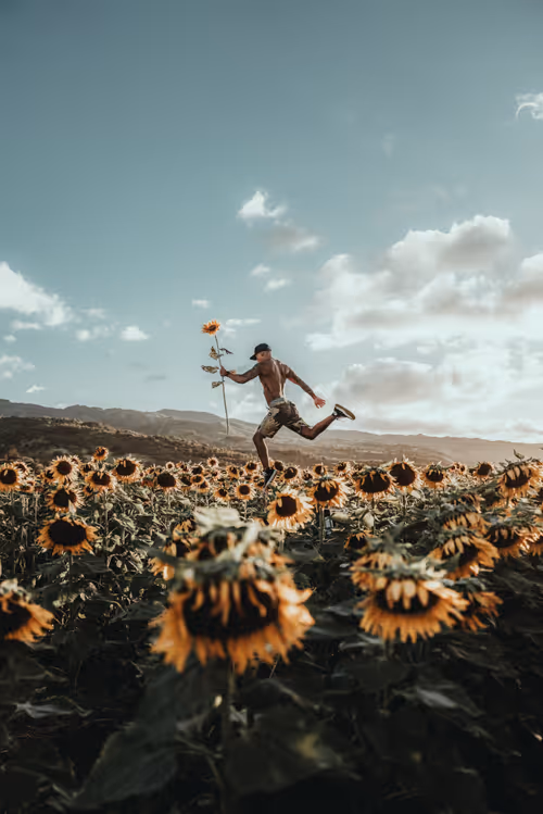 Item #78064220502355505726869985793984720926867023015257308531581829173595621818369 Media