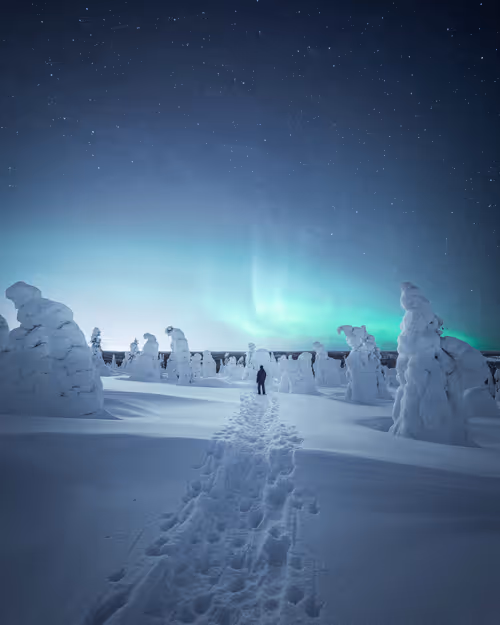 Item #8011610006664859367402305355842719032059170831257207817958501173017584861185 Media