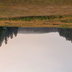 Nature Panorama #49