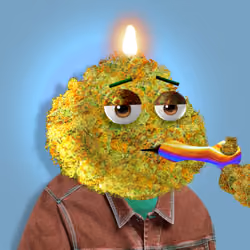 21918237706635412374152655828942782420234456002499523699045172266740490436609