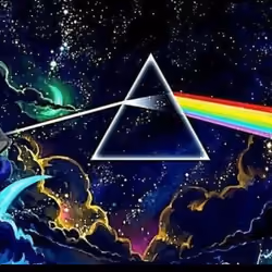 aussie pink floyd - in the flesh