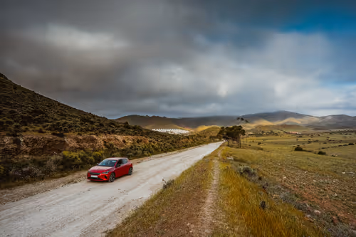 Item #96927138123694371990624378573919196862016558693078256504060925351440670523393 Media