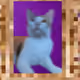 26436800223043400627167373388686687589495884302086043925268175994736915513345