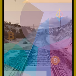 SteezyRares Trading Card #1