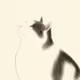 'My Adorable Cat Friends'