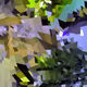 31310848645098346861030005814963531857068613741481674330330247675483353251841