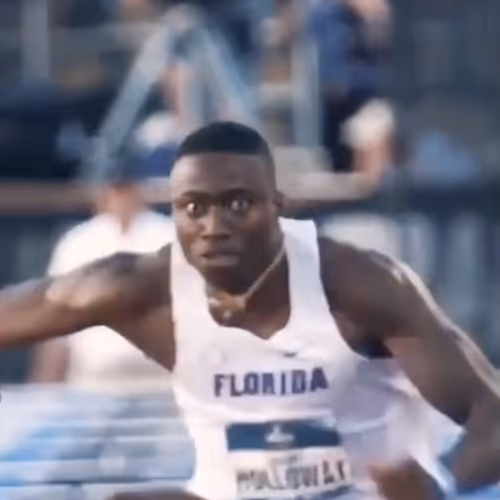 Untitled Collection #22062386